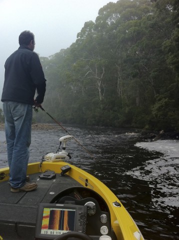Chasing Trout up the Huon river